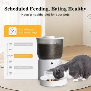 Automatic Cat Feeder with Camera, Smart Auto Dry Pet Food Dispenser with Timer